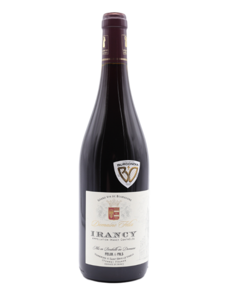 Irancy La Grande Côte Est - Felix & Fils - Vins de Bourgogne